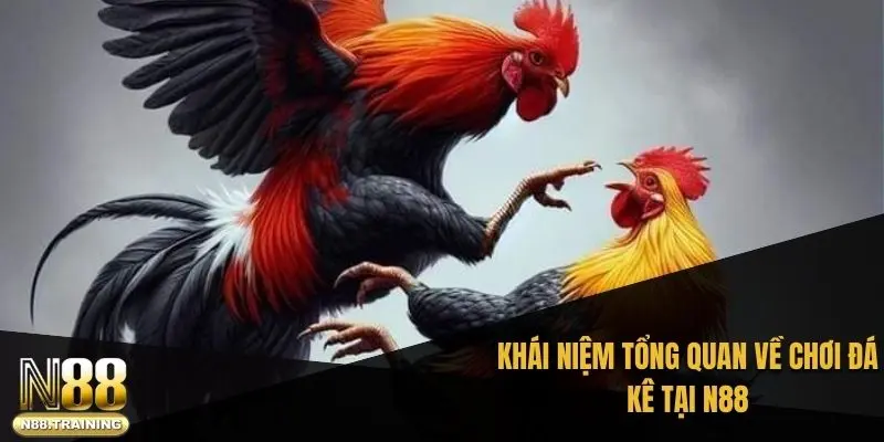 Khái niệm tổng quan về chơi đá kê tại N88