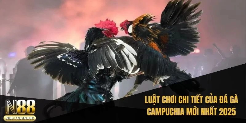 Luật chơi chi tiết của đá gà Campuchia mới nhất 2025